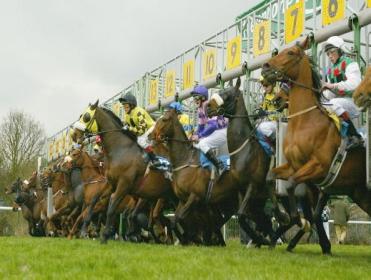 Timeform's Irish team have three bets for this evening's action